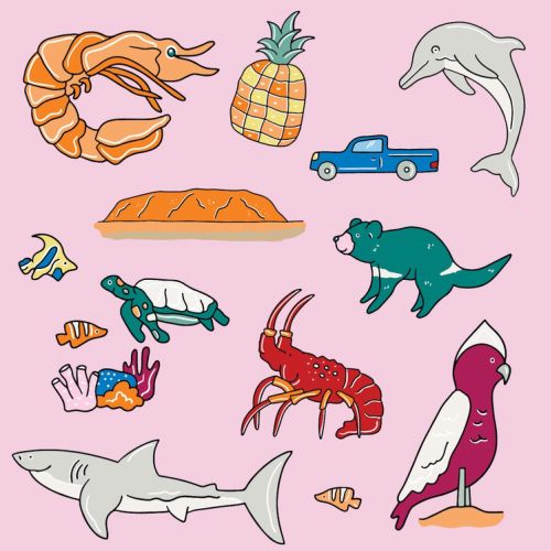 Illustration of Australian icons including animals and foods by Megan McKean