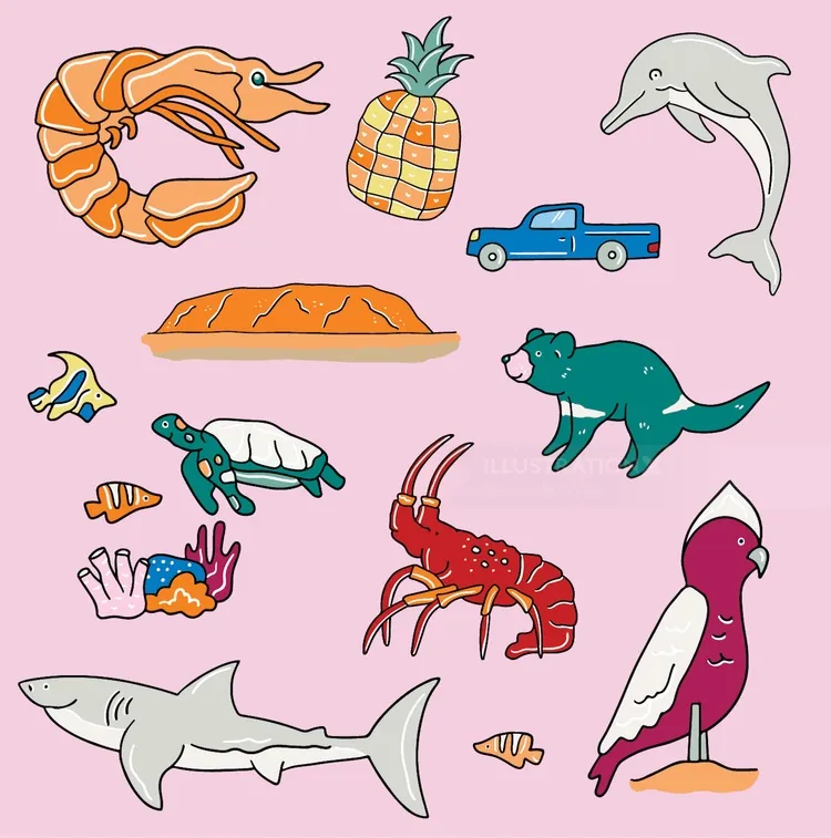 Illustration of Australian icons including animals and foods by Megan McKean
