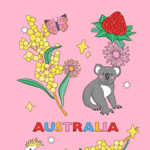 Australian flowers and wildlife illustrated by Megan McKean