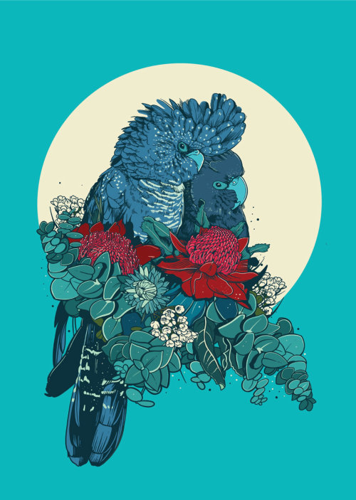 Digital art of Black Cockatoos by Mel Baxter