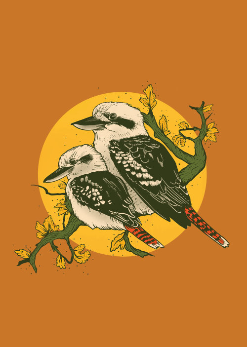 Graphic art of Kookaburra by Mel Baxter