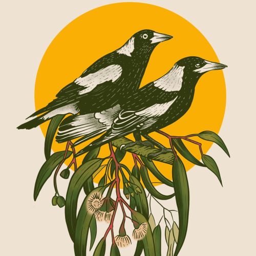Digital illustration of Magpies