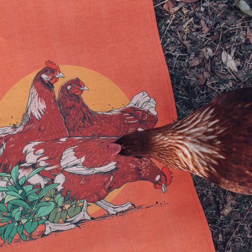 Rooster painting
