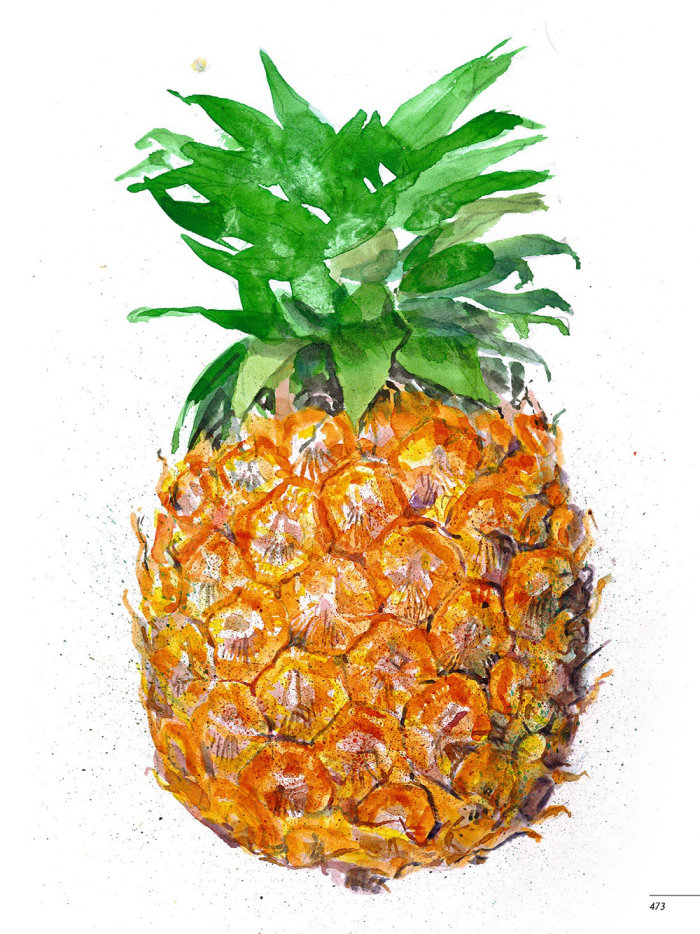 Pineapple fruit painting