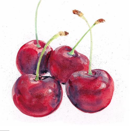 Watercolour painting of cherries