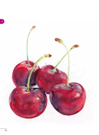 Watercolour painting of cherries