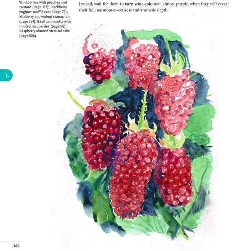Editorial art of strawberry fruits 