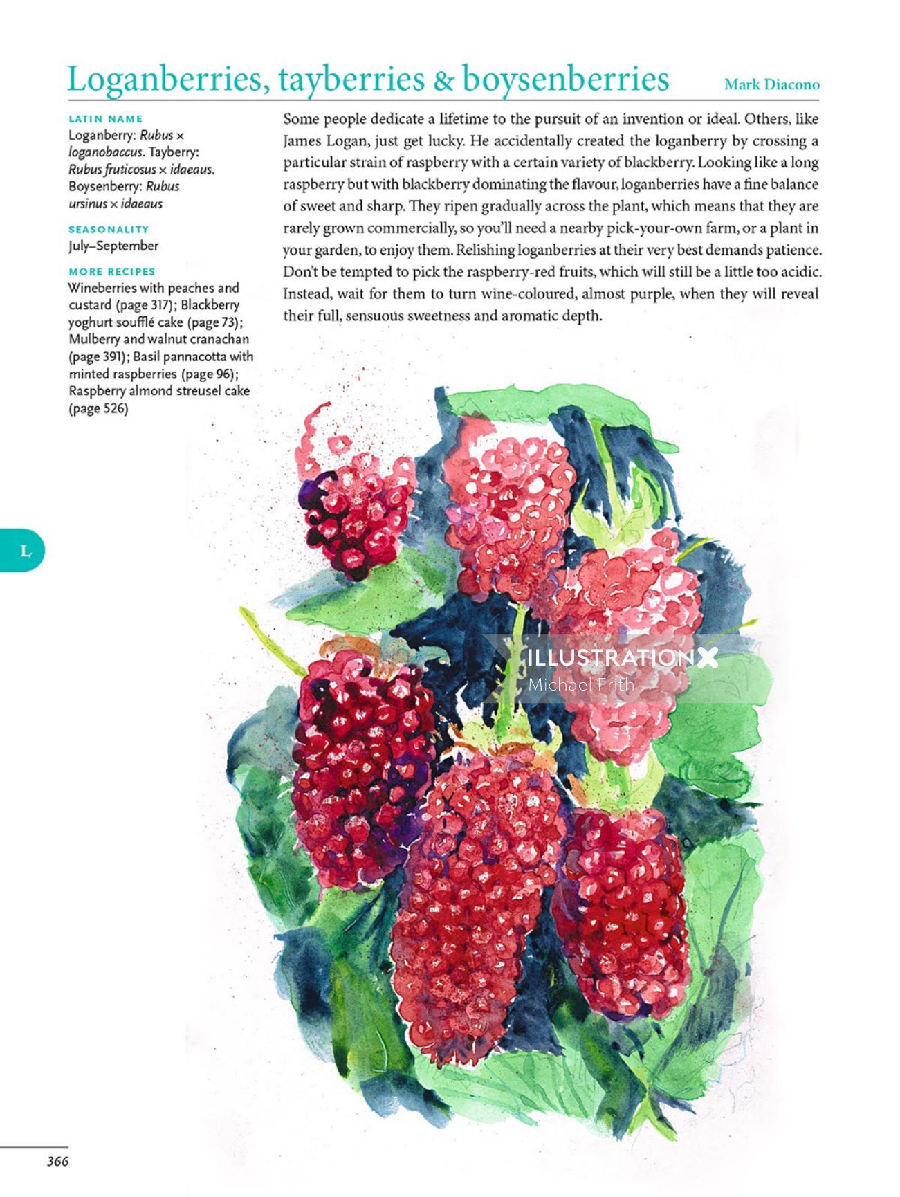 Arte editorial de frutas de morango