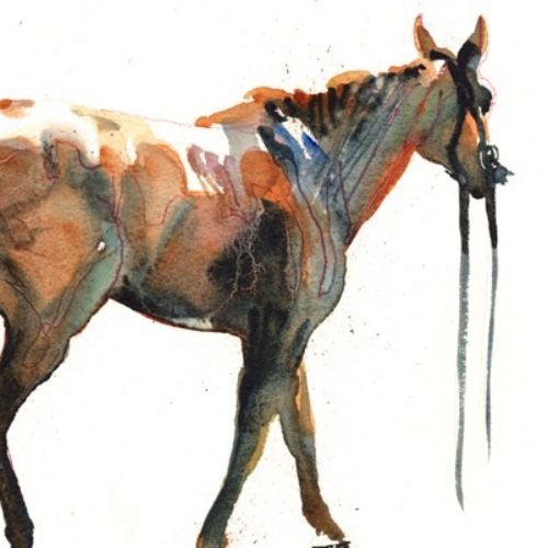 Horse animal painting