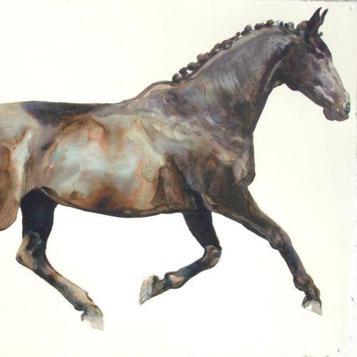 Horse watercolor painting 