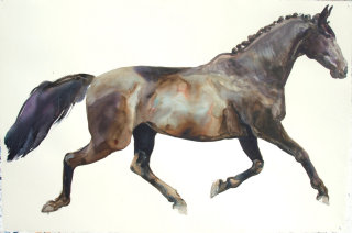 Pintura de acuarela de caballo. 