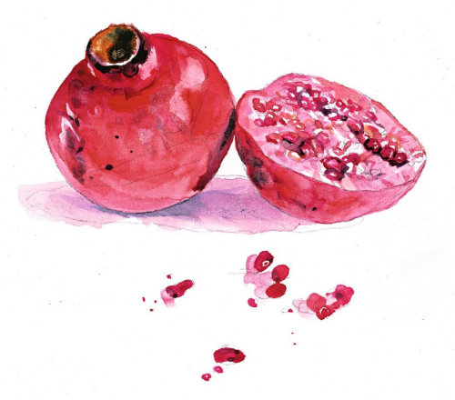 Pomegranate watercolor painting 