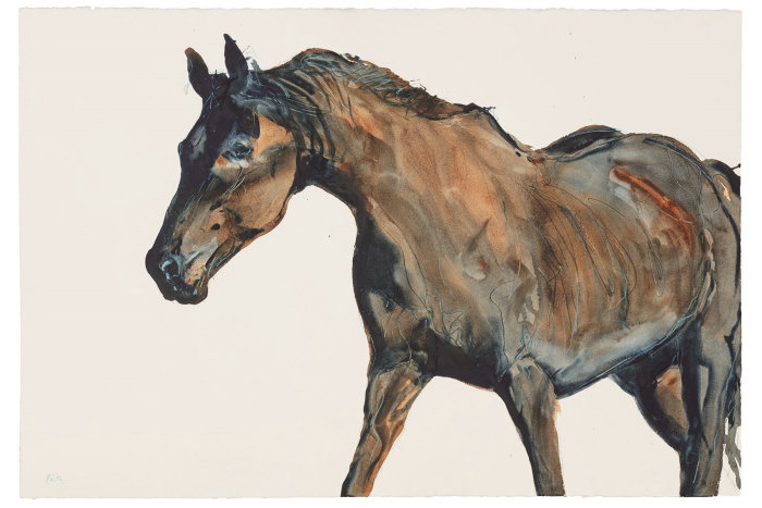 Arte do retrato de cavalo