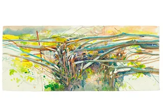 窪田知矩　tomo kubota 抽象油彩画 抽象树枝插图| Illustration by Michael Frith