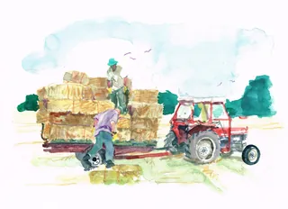 Farmers loading hay bales on red tractor trailer in field