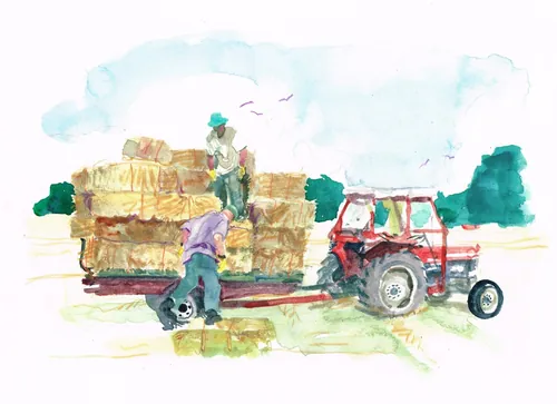 Farmers loading hay bales on red tractor trailer in field