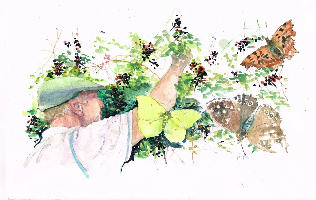 Child reaching for butterflies among green plants