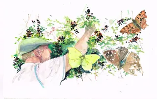 Child reaching for butterflies among green plants