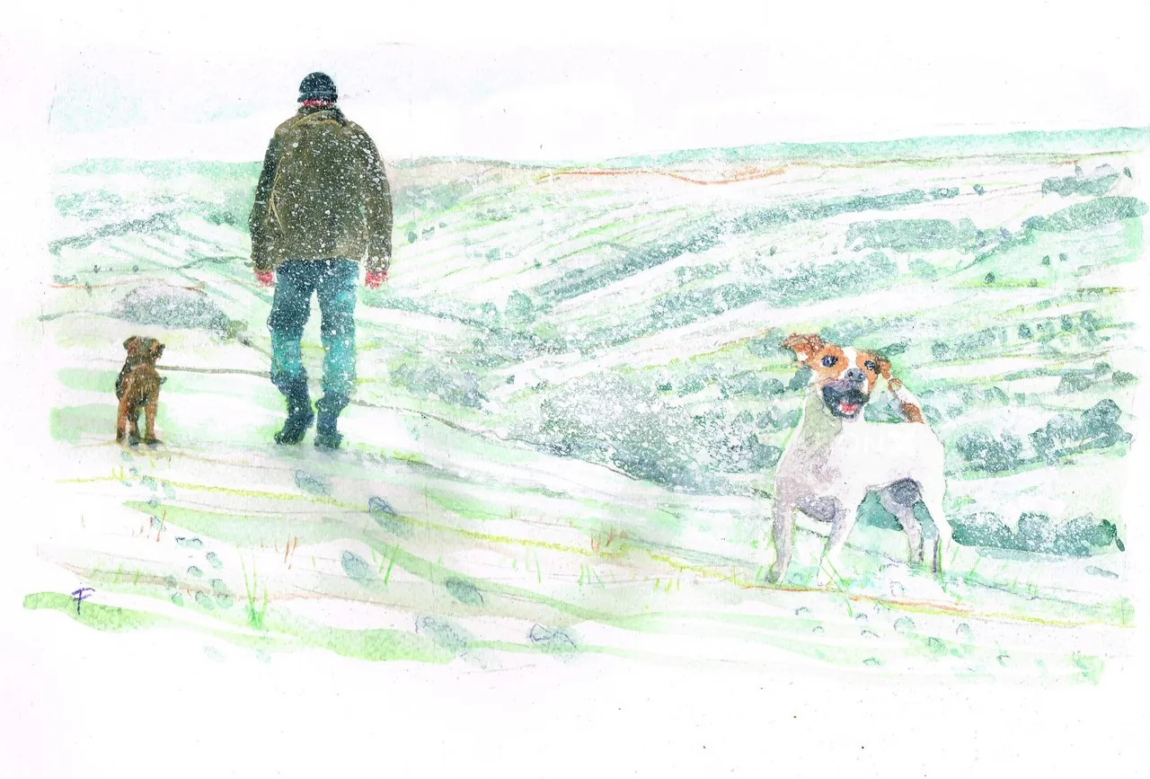 Man walking two dogs in snowy countryside