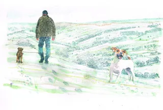 Man walking two dogs in snowy countryside