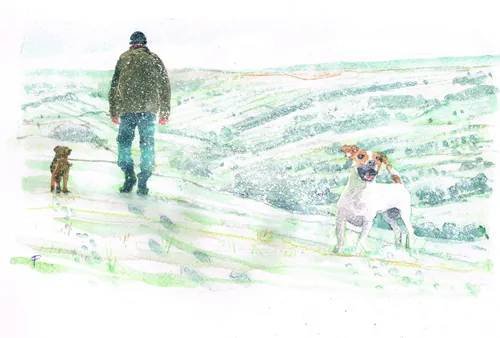 Man walking two dogs in snowy countryside