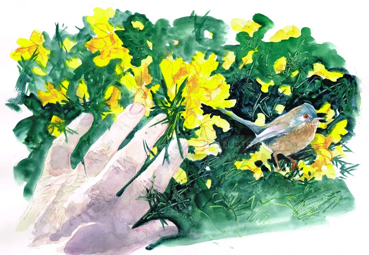 Hand reaching out to a small bird by yellow flowers