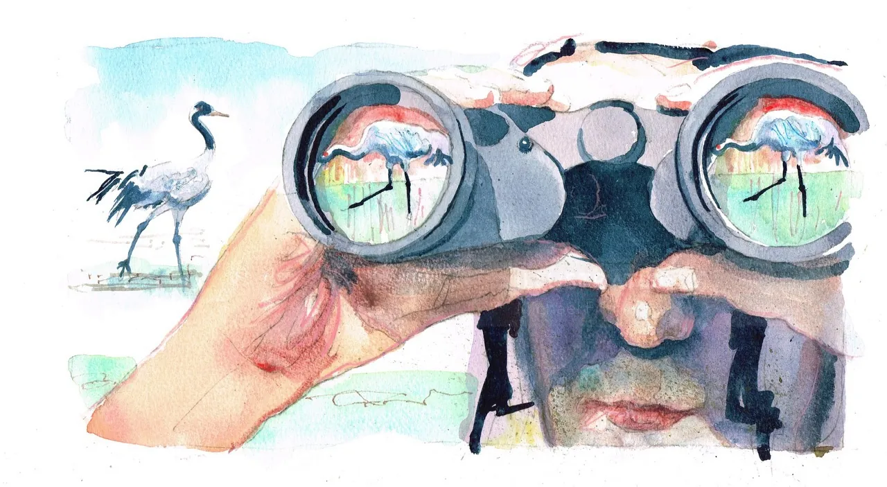 Close-up of person looking through binoculars at birds.