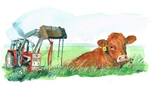 Red tractor and brown cow lying on grass in watercolor style