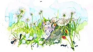 Watercolor painting of ants and flowers in a grassy meadow