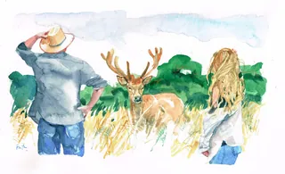 Man and woman watching a deer in grassy field watercolor