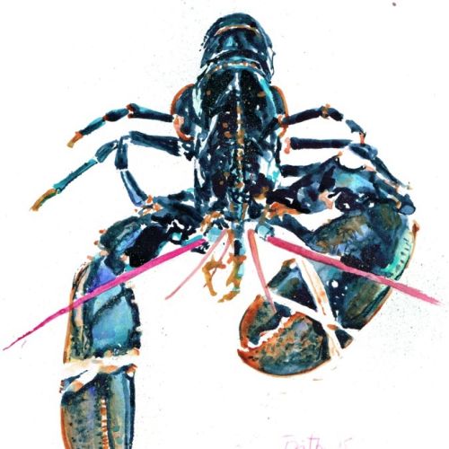 European lobster watercolor painting 