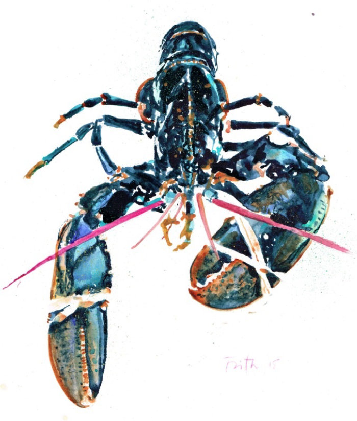 Pintura em aquarela de lagosta europeia