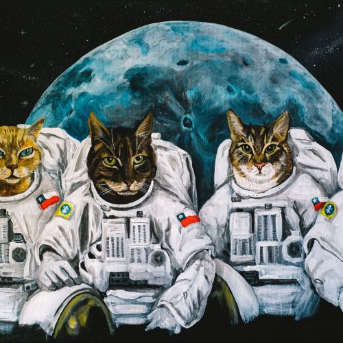 Astronaut Cats illustration by Mike Klar