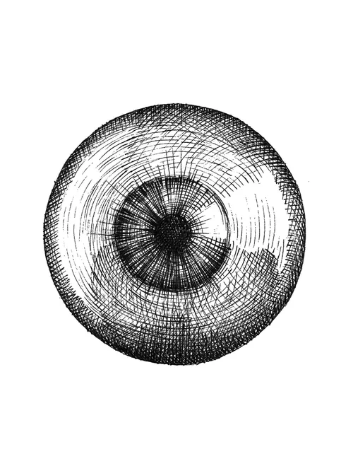 Black and white detailed eyeball drawing by Miosis