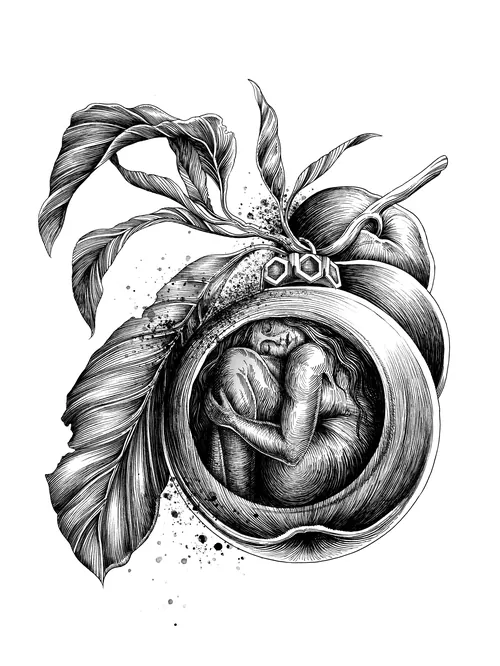 Fetus curled up inside a detailed botanical fruit drawing by Miosis