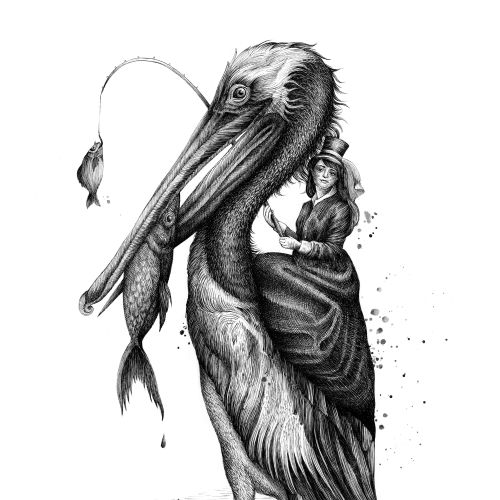 Pelican with woman and fish in coastal setting