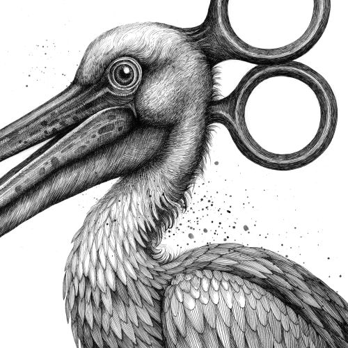 Pelican with sharp mechanical beak