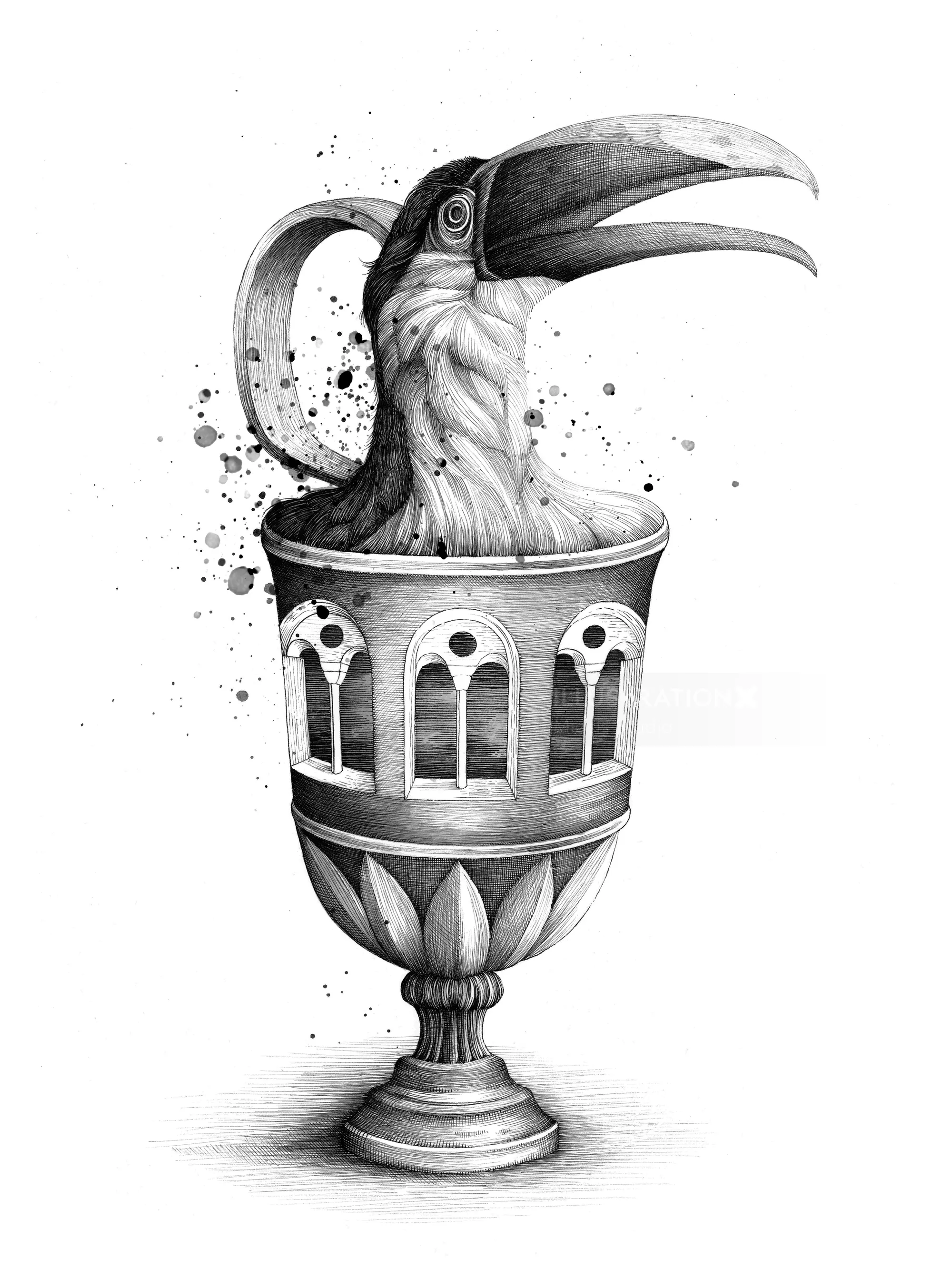 Schwarz-Weiß-Illustration eines Tukans, der aus einem verzierten Kelch auftaucht, von Miosis
