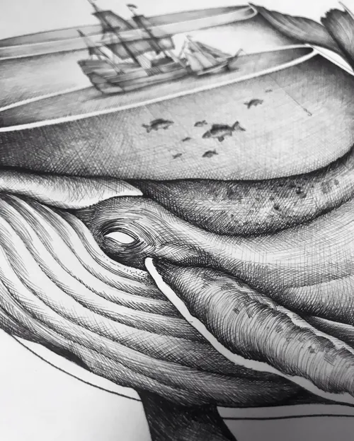 Fine line artwork showing whale and ship interaction at sea