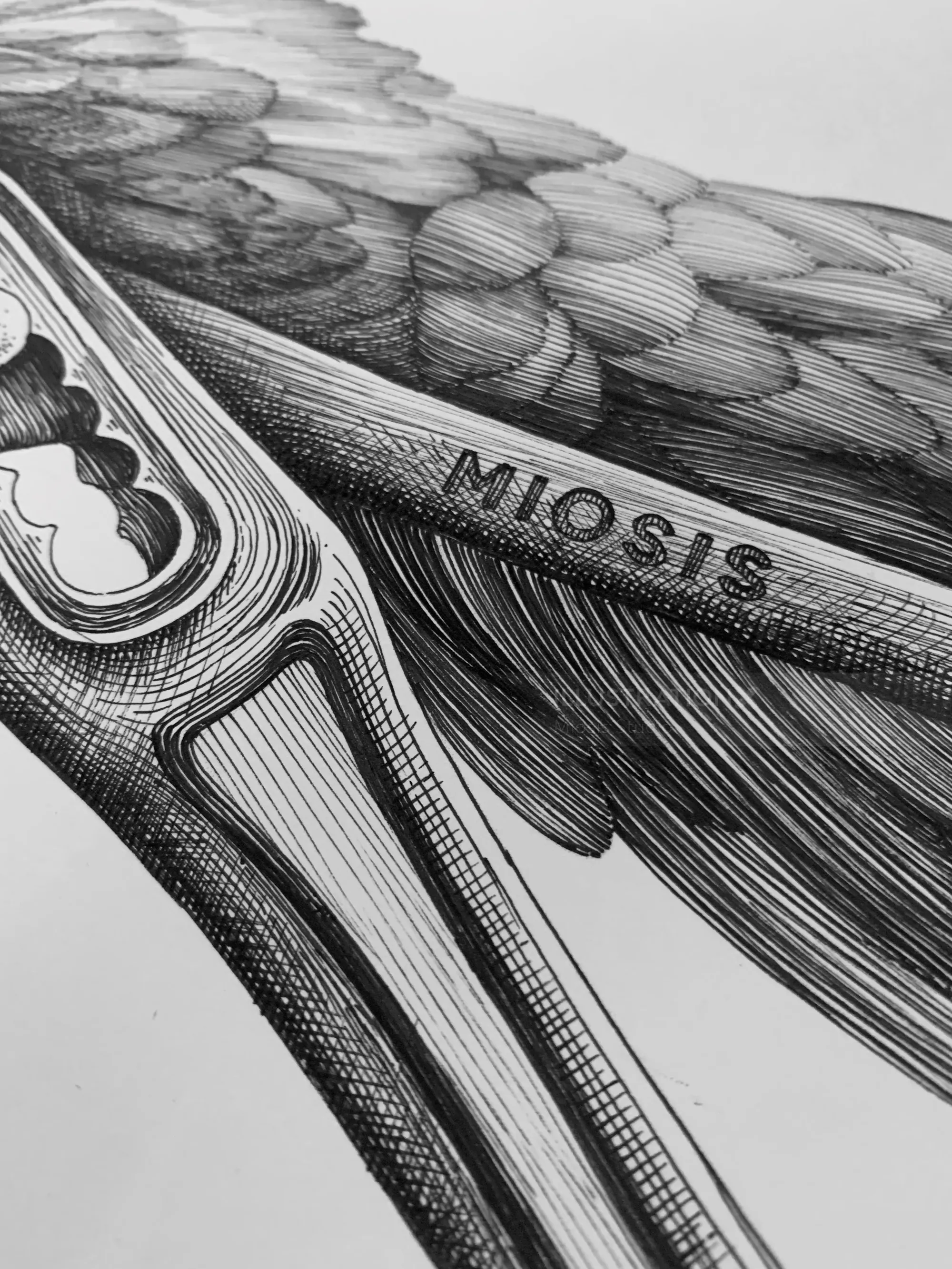 Detaillierte Nahaufnahme einer Vogelflügelzeichnung der Künstlerin Miosis