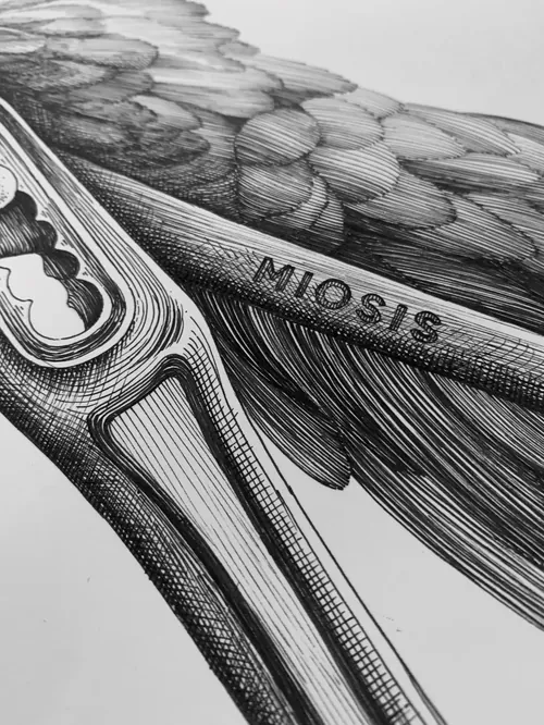Detailed close-up bird wing drawing by artist Miosis