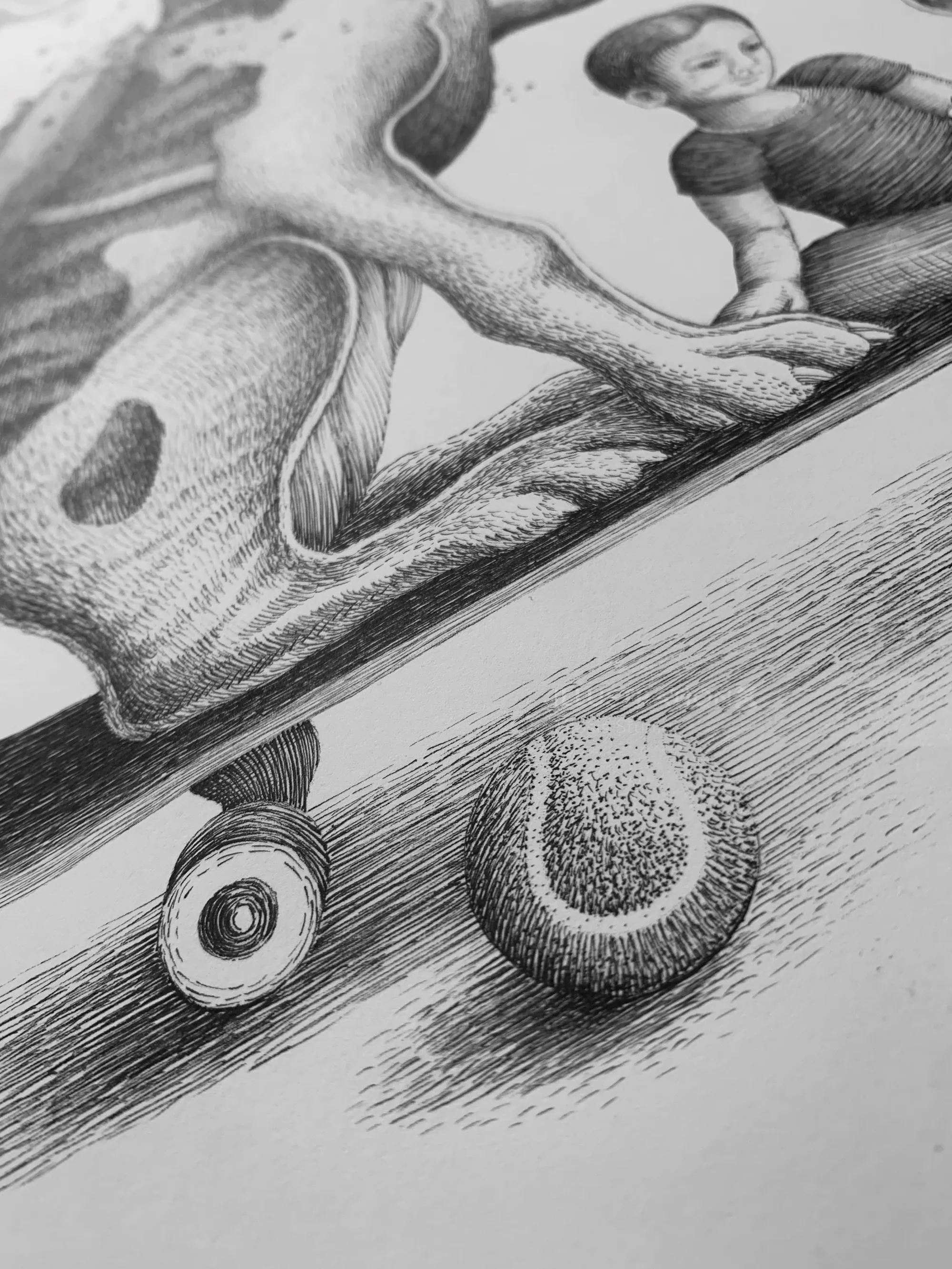 Dibujo detallado a lápiz de un galgo en patineta, realizado por Miosis Studio.
