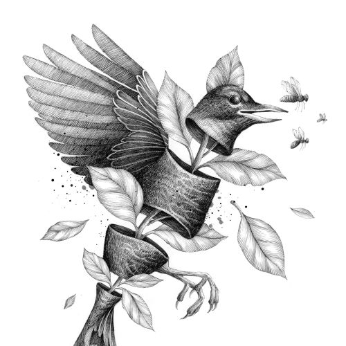 Miosis Studio illustration of a bird perched on a flowering branch