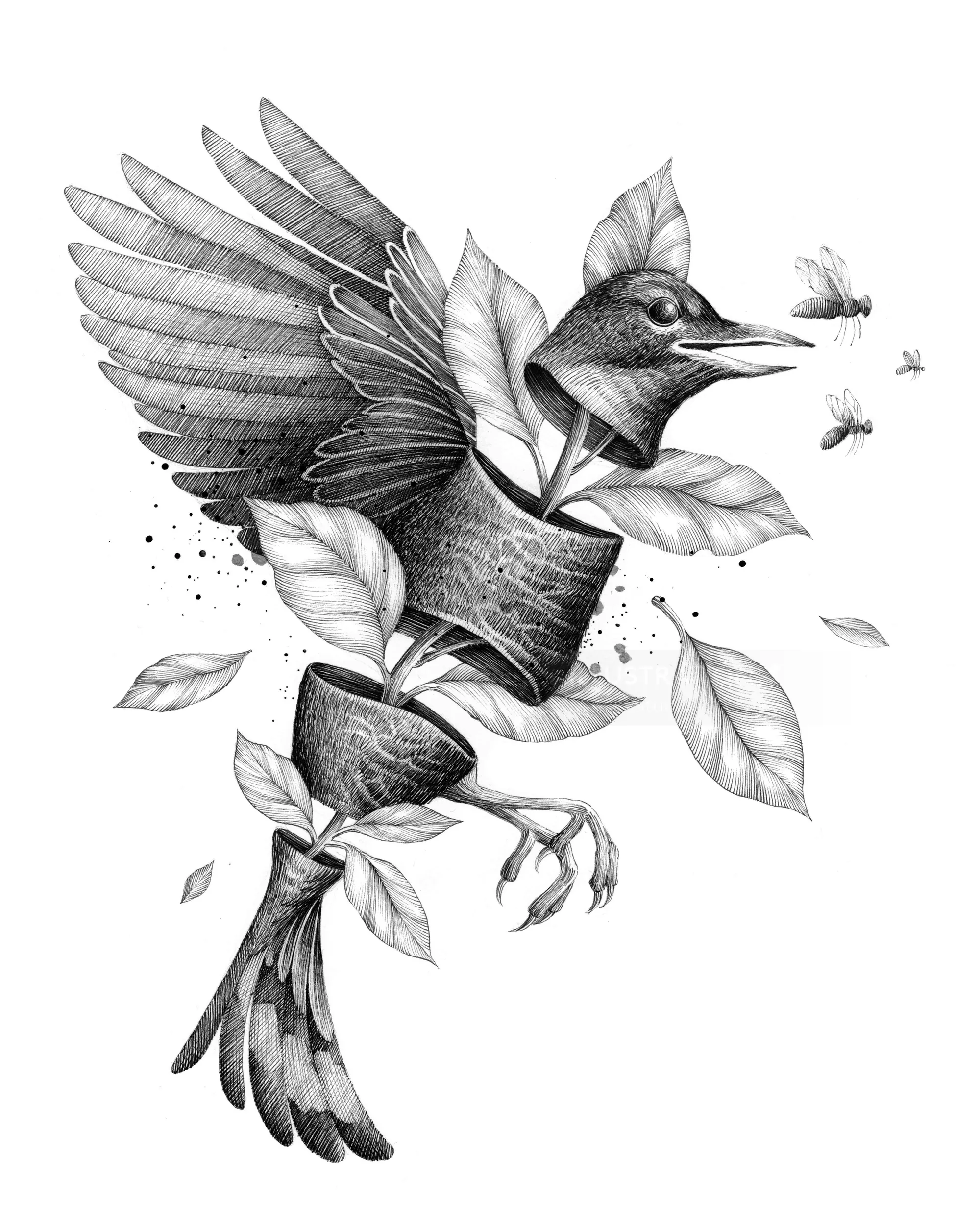 Illustration de Miosis Studio représentant un oiseau perché sur une branche fleurie