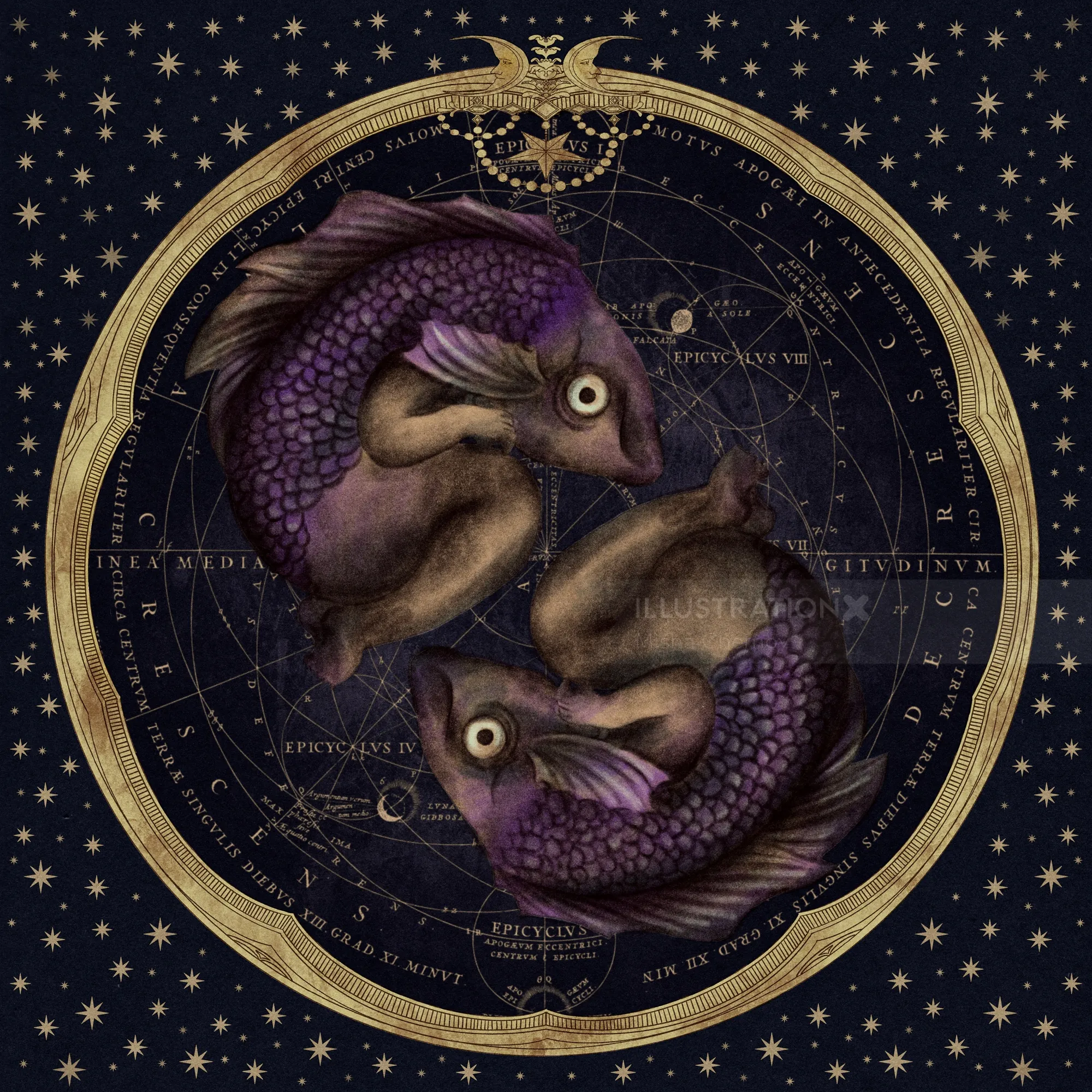 Pisces zodiac fish illustration by Misha Chernov