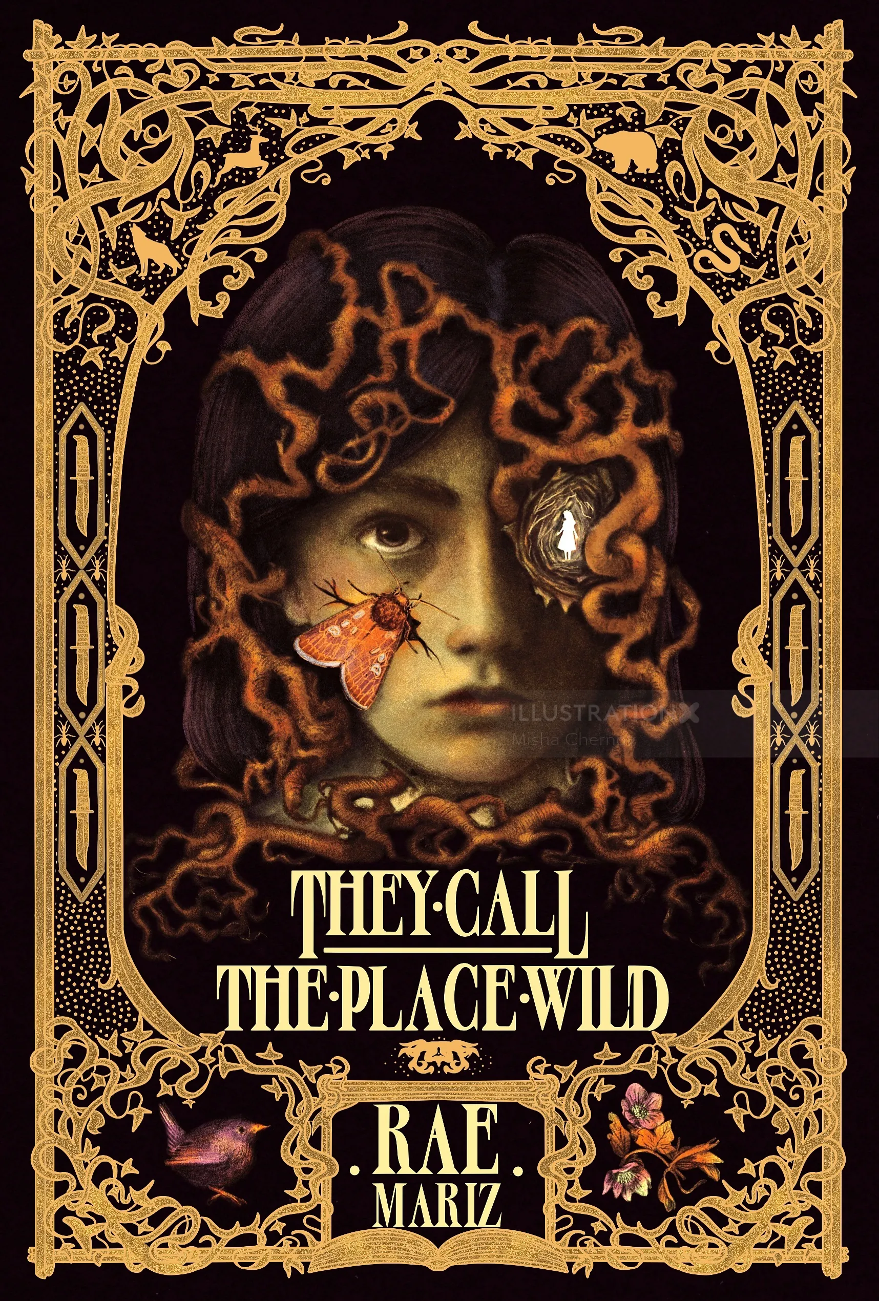 They Call the Place Wild book cover illustrated by Misha Chernov