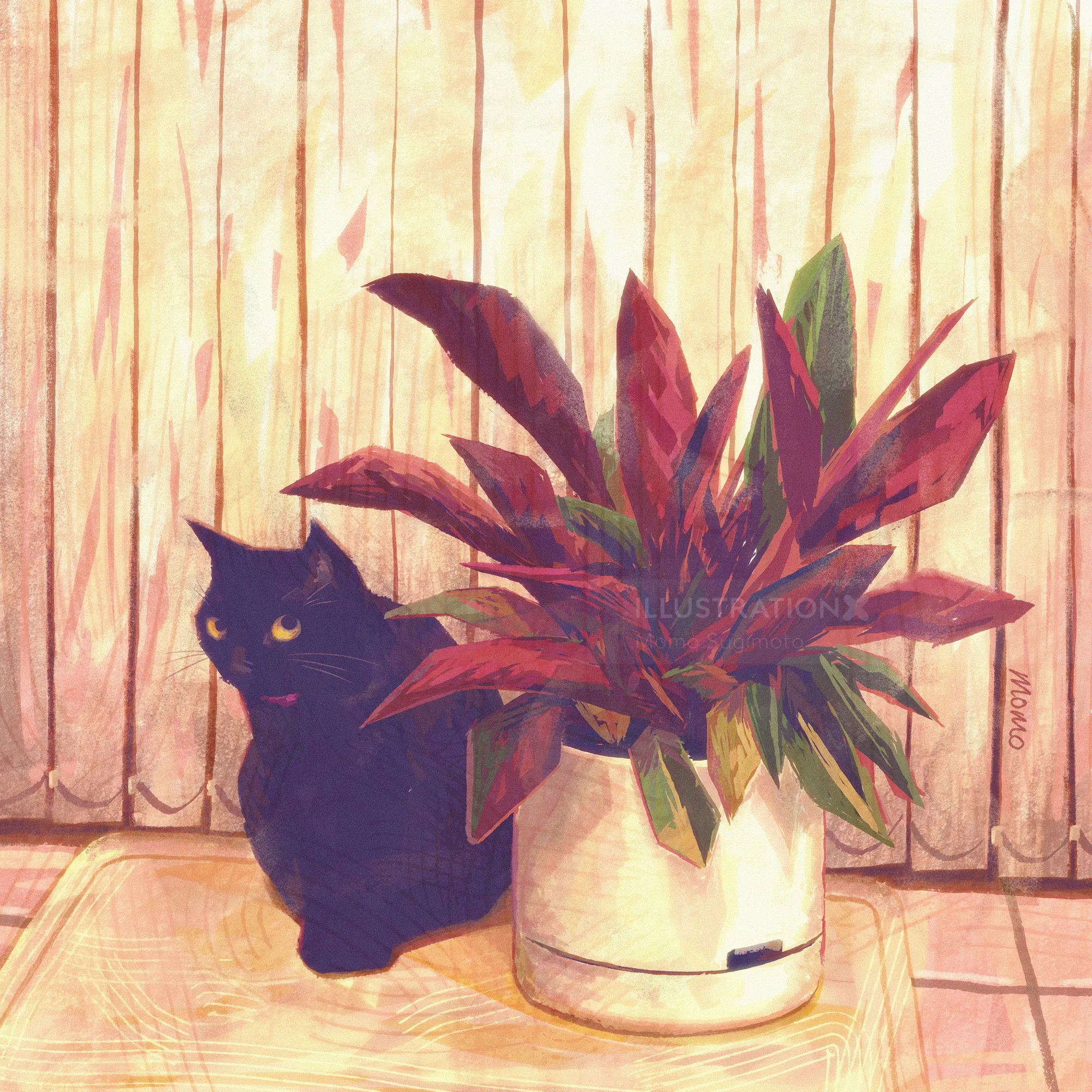 Black cat sitting beside a red leafed plant in white pot