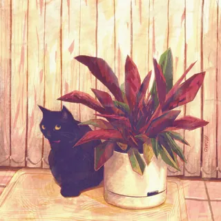 Black cat sitting beside a red leafed plant in white pot