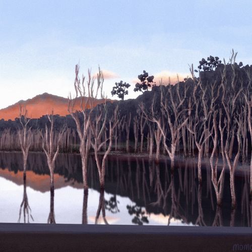 Bare ghost trees reflected in calm water at sunset