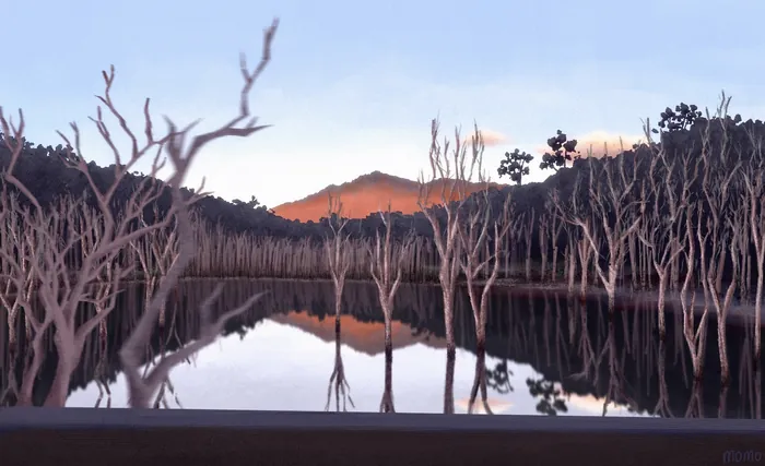 Bare ghost trees reflected in calm water at sunset